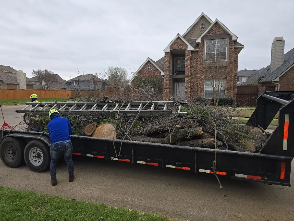 Expert Tree Fertilization with proper safety equipment in Alamo
